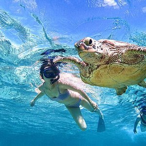 🏖️ 보라 샘 해변 (보라가 비치) 이미지 3
